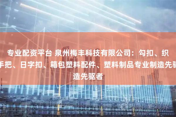 专业配资平台 泉州梅丰科技有限公司：勾扣、织带手把、日字扣、箱包塑料配件、塑料制品专业制造先驱者